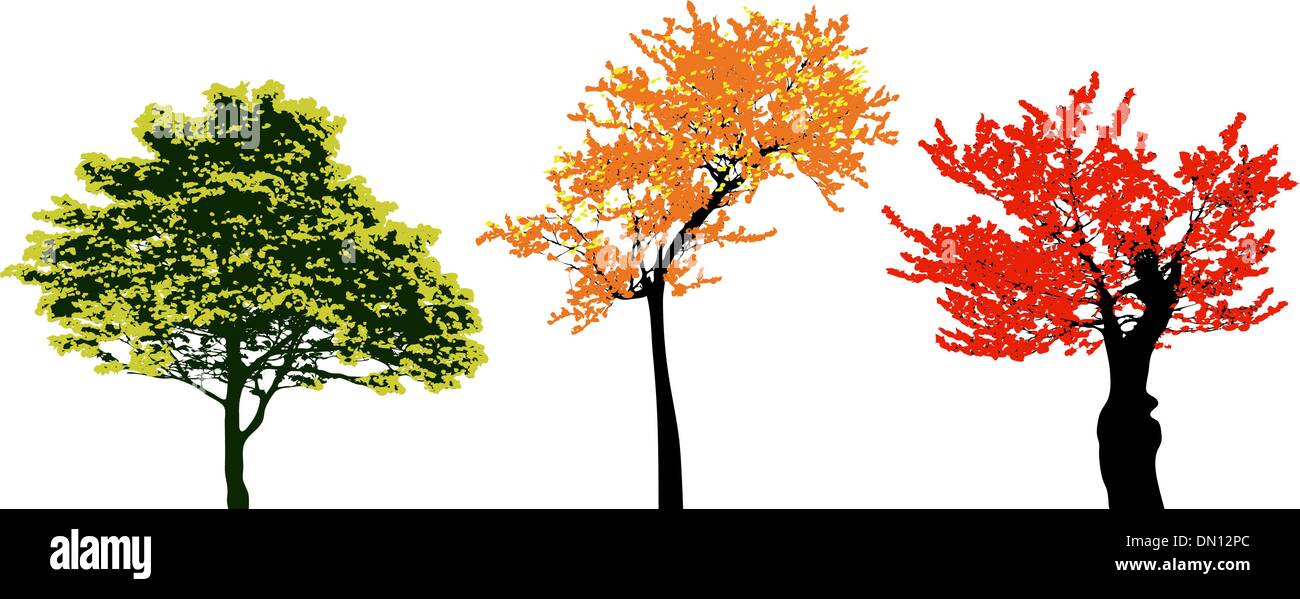 Set of real colorful autumn tree collection Stock Vector Image & Art ...
