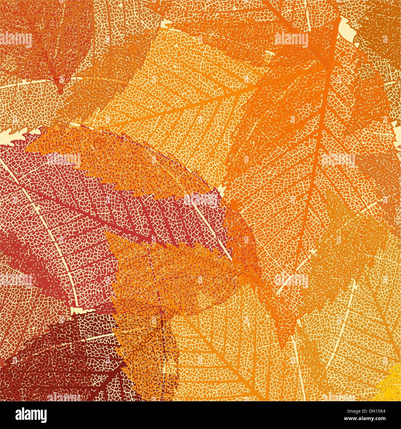 Dry autumn leaves template. EPS 8 Stock Vector Image & Art - Alamy
