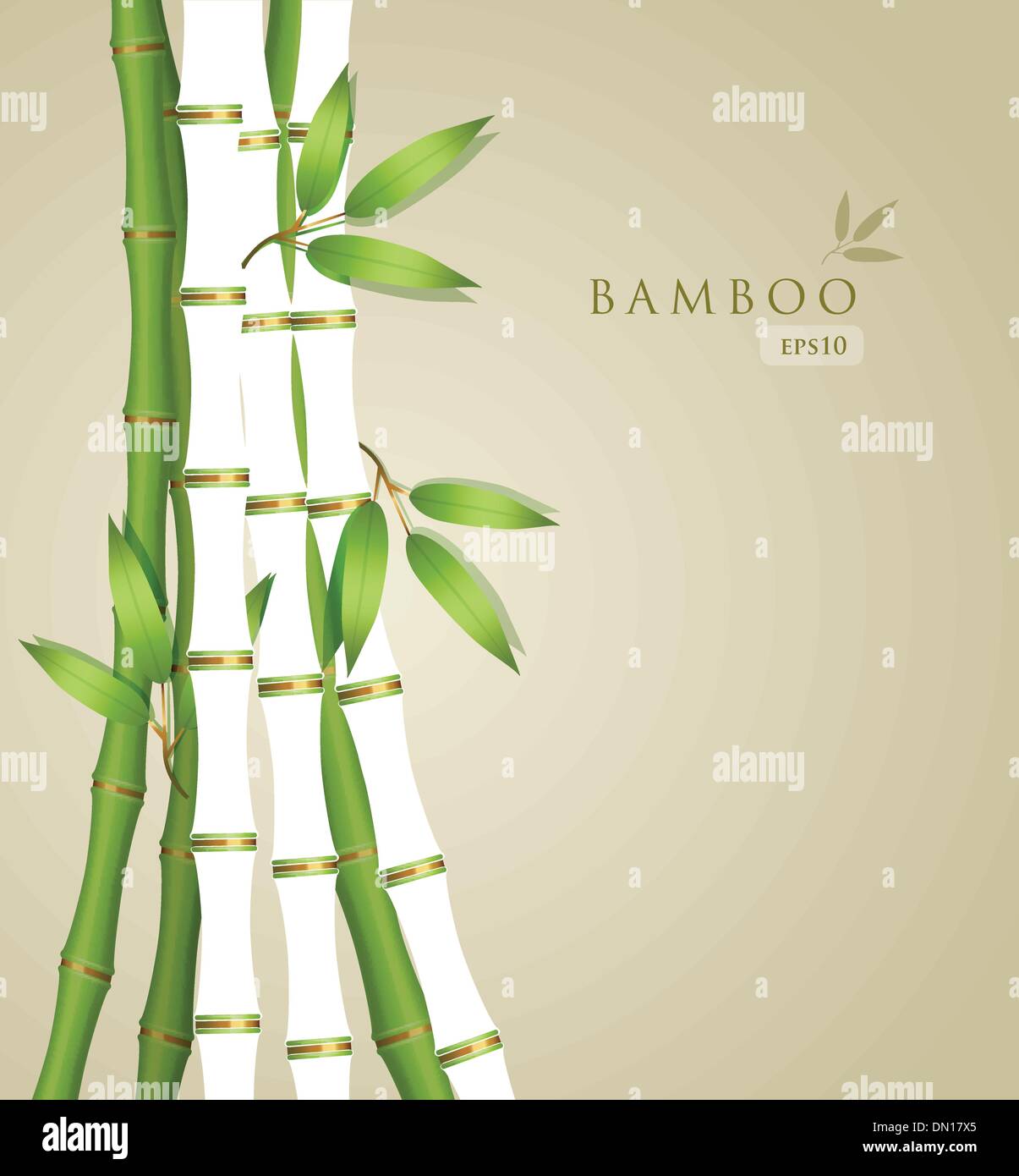 Background with green bamboo Stock Vector Image & Art - Alamy