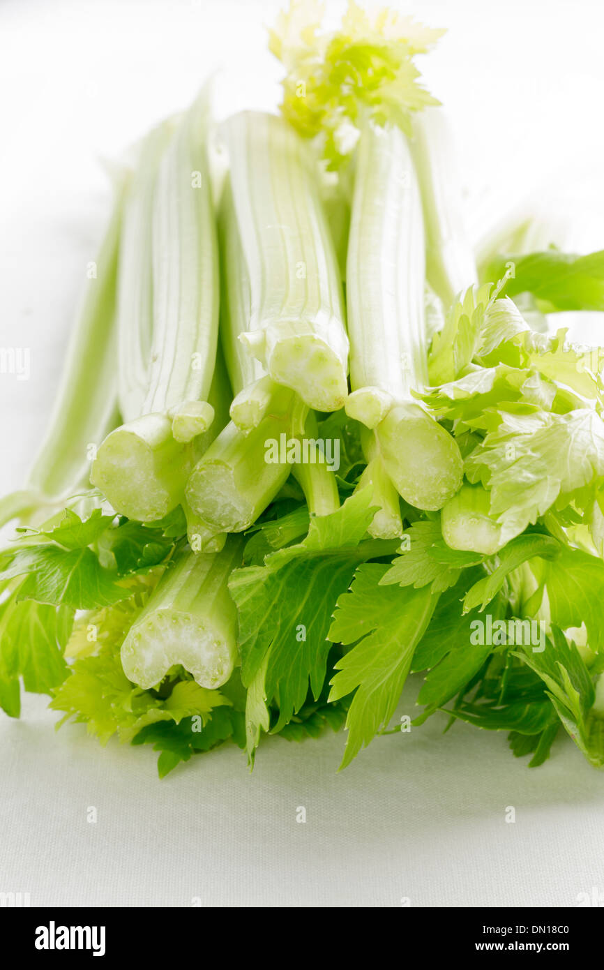 Celery Stock Photo