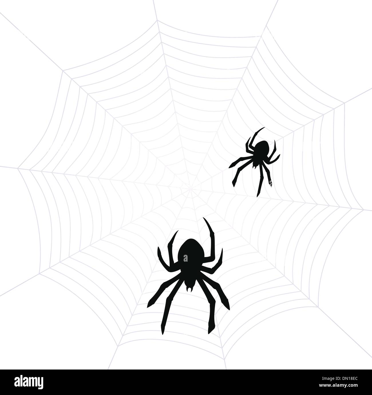 vector spiders and web Stock Vector