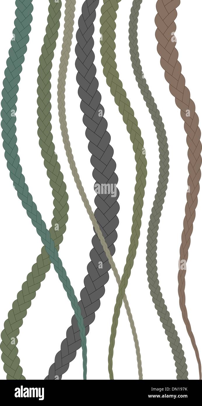 Braids vector Stock Vector Images - Alamy