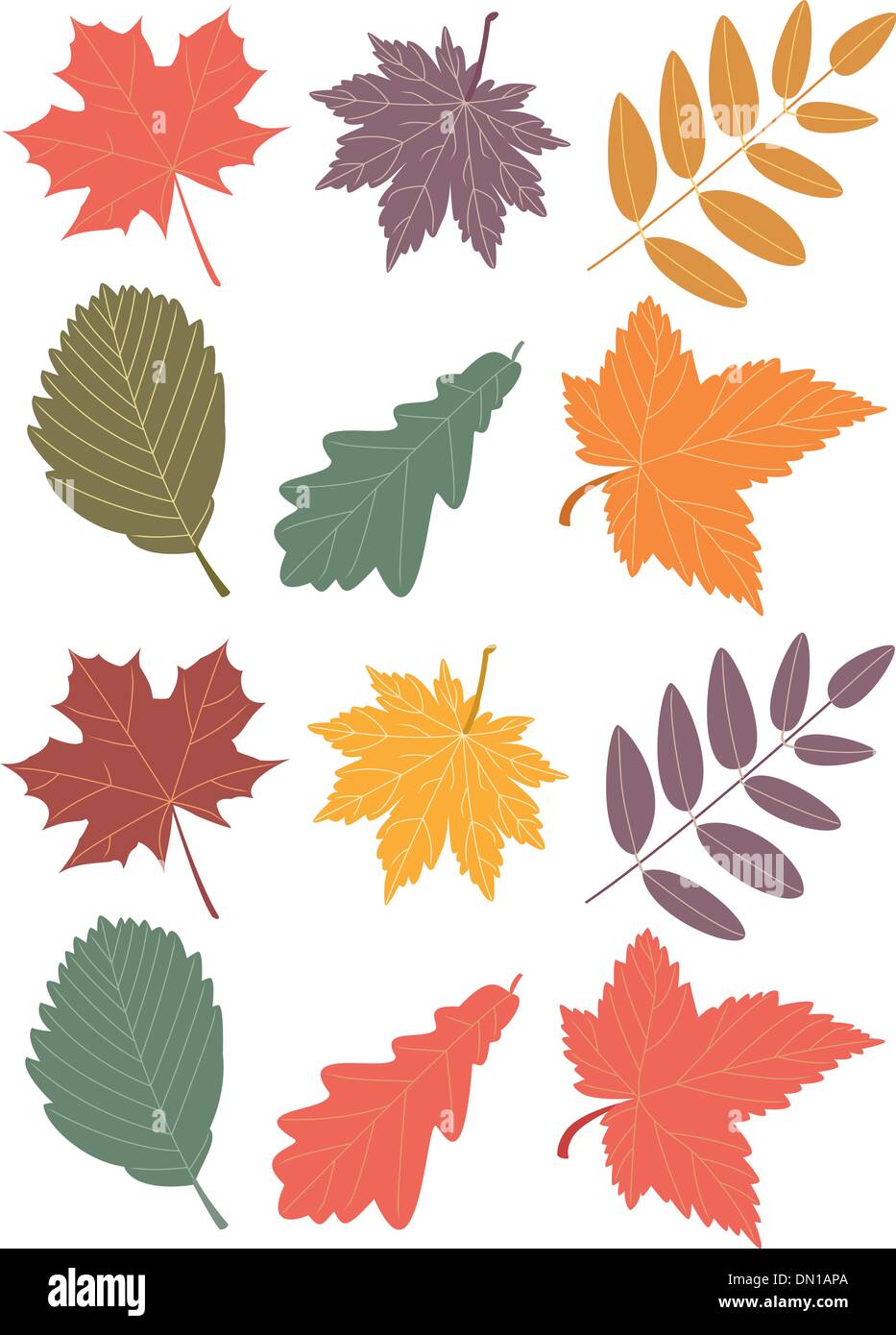 vector fall leaves Stock Vector