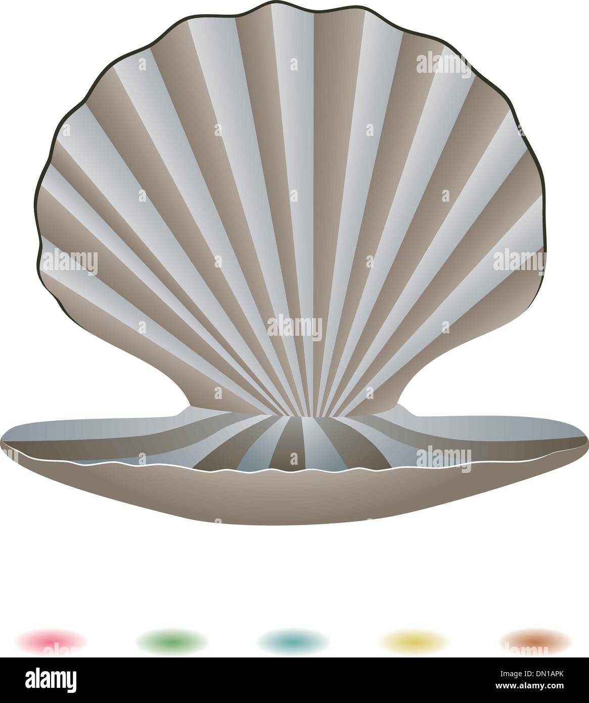 vector pearls and a shell Stock Vector Image & Art - Alamy