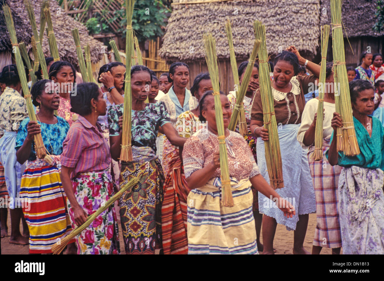 Tribal Woman of Antaimoro Tribe Dancing the Reed Dance during the Sambatra Circumcision Festival Mananjary Madagascar Stock Photo