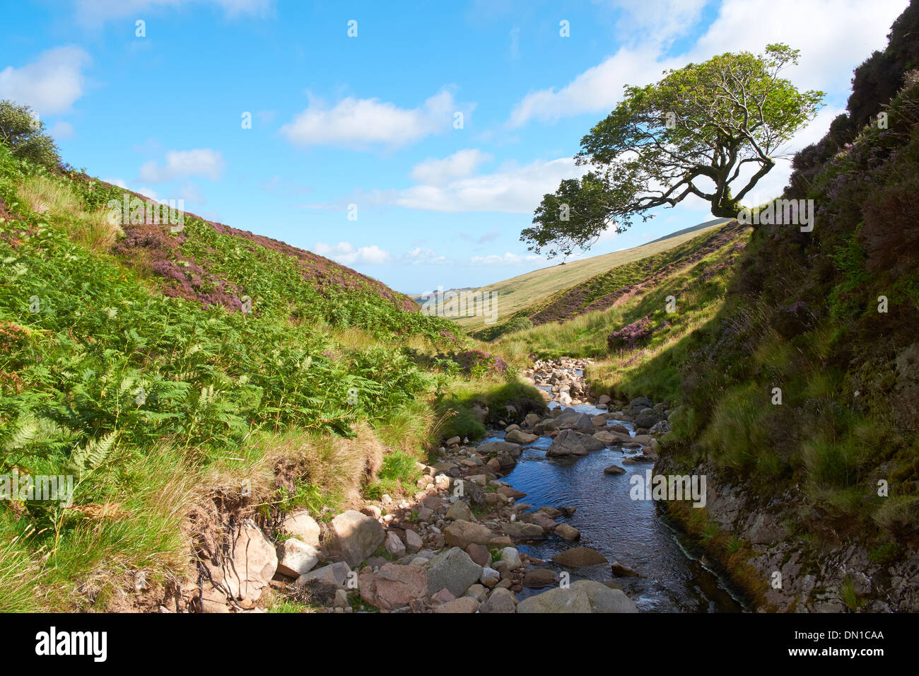 Harthope burn in the Cheviot Hills in Northumberland, England, UK Stock
