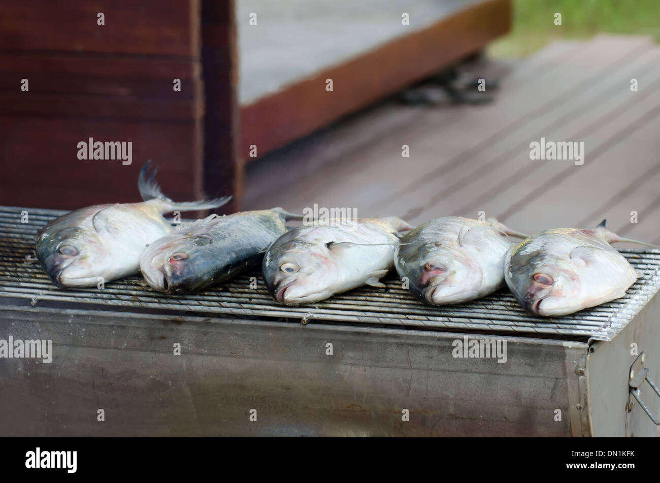 fish grill on grilling sticks , seafood Barbeque Stock Photo
