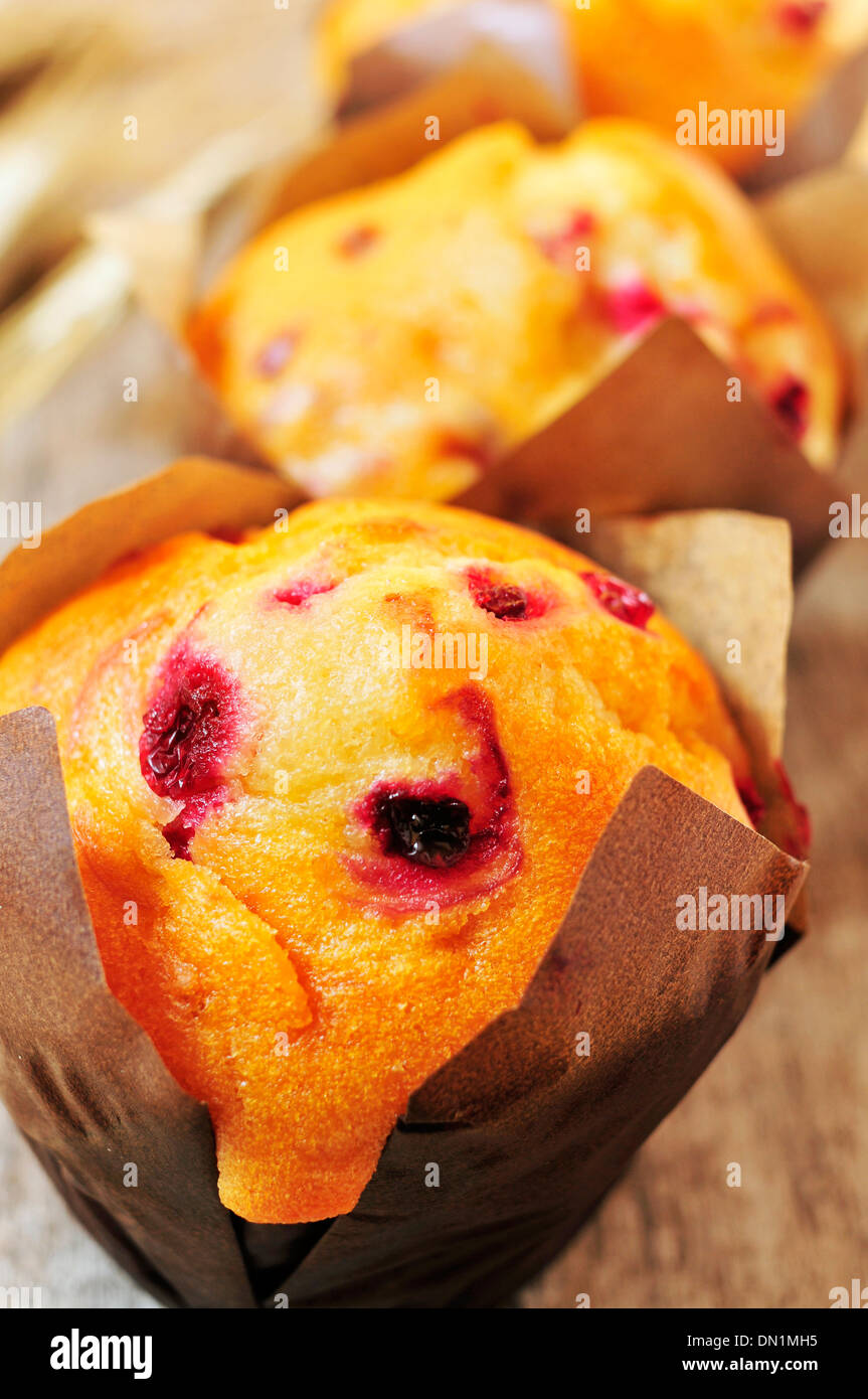 closeup of some redcurrant muffins Stock Photo