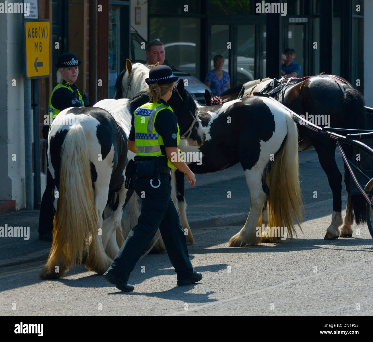Policewomen with horses. Appleby Horse Fair, June 2013. Appleby-in-Westmorland, Cumbria, England, United Kingdom, Europe. Stock Photo