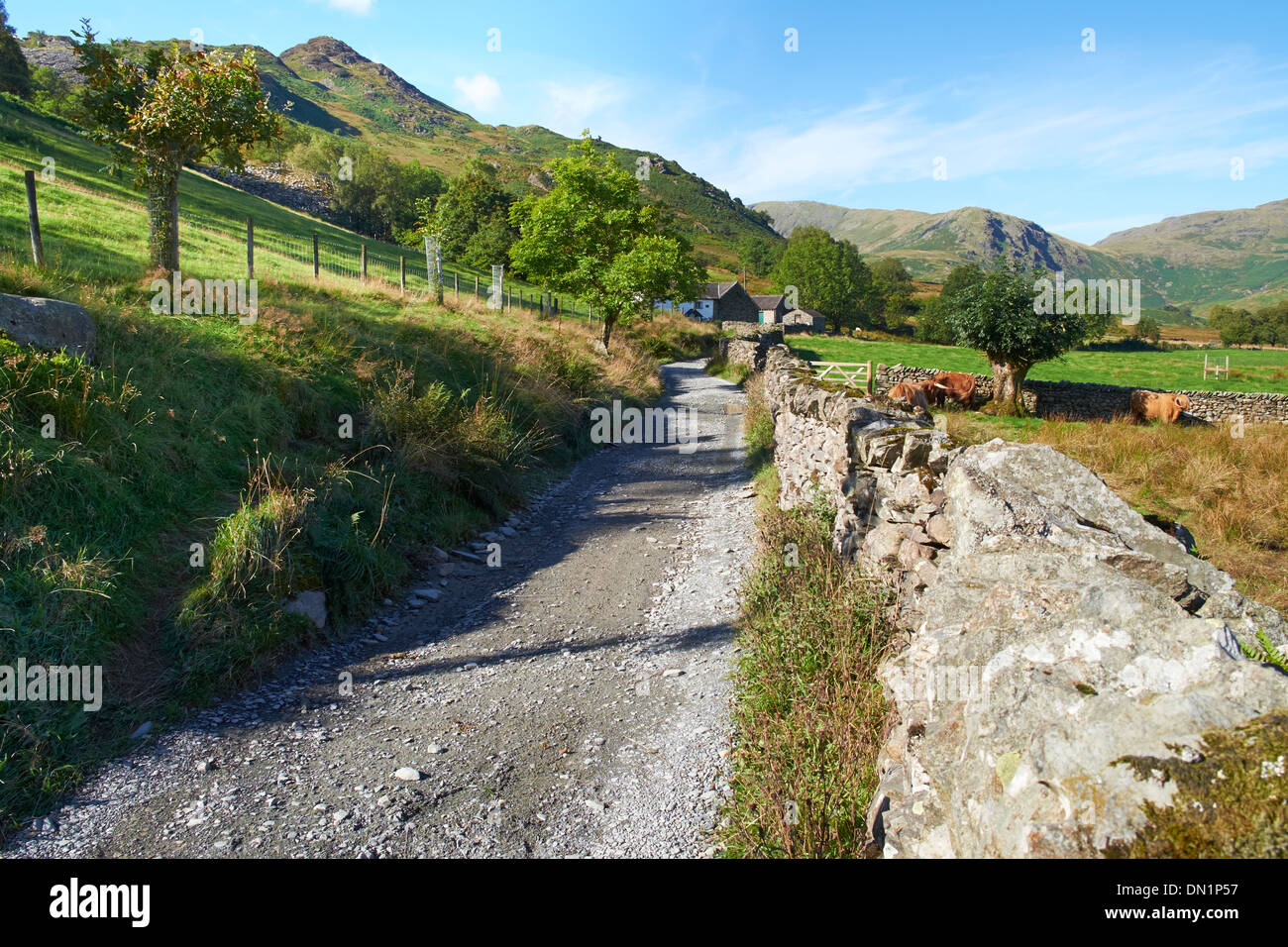 Country track leading to Low Hall Garthwith And Tilberthwaite Fells in the Lake District. Stock Photo