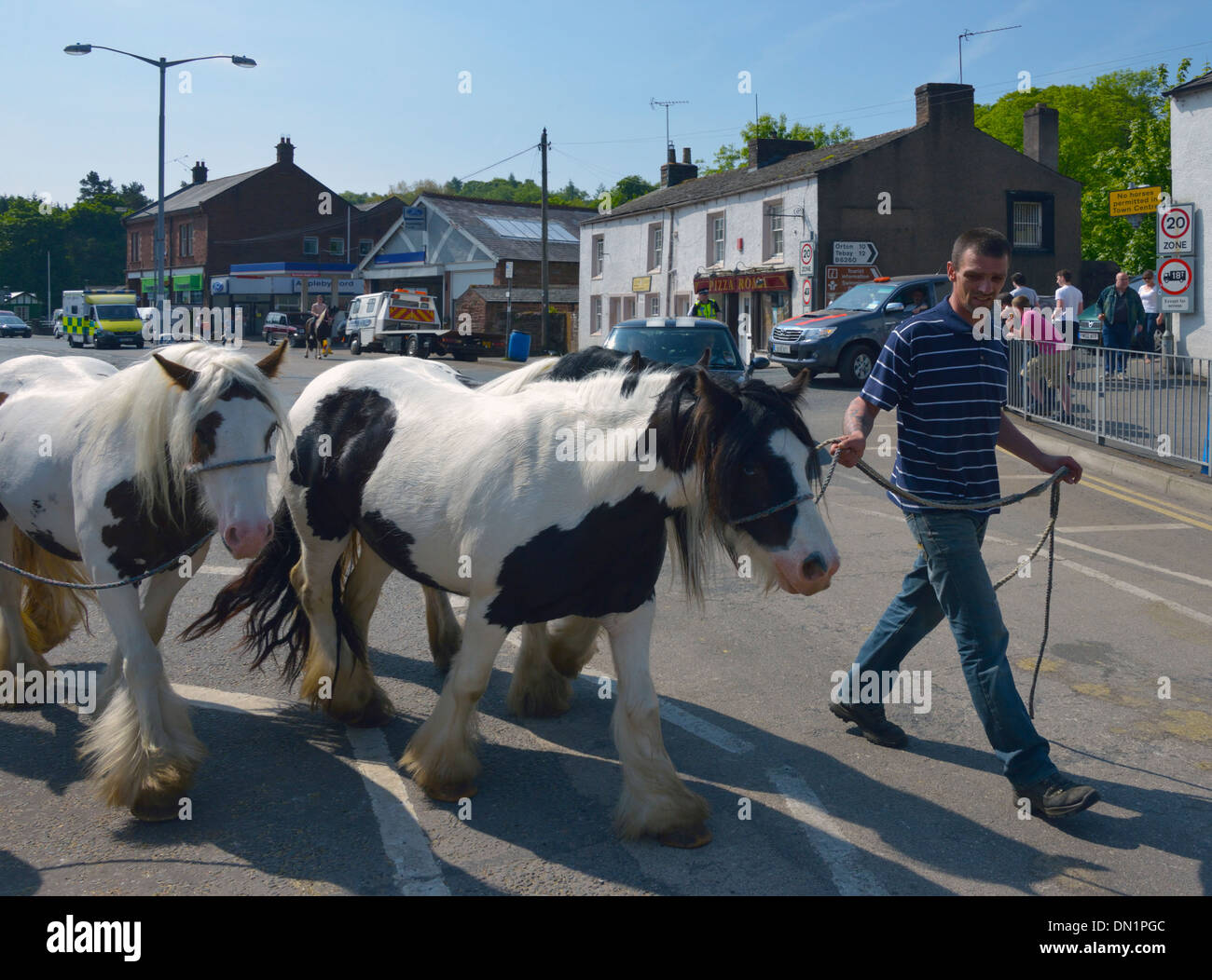 Gypsy traveller with horses. Appleby Horse Fair, June 2013. Appleby-in-Westmorland, Cumbria, England, United Kingdom, Europe. Stock Photo