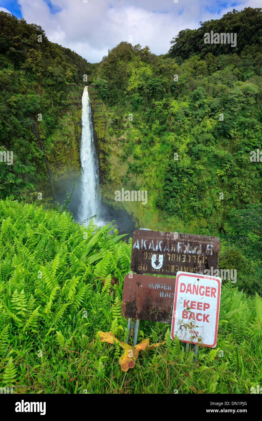 USA, Hawaii, The Big Island, Akaka Falls State Park Stock Photo