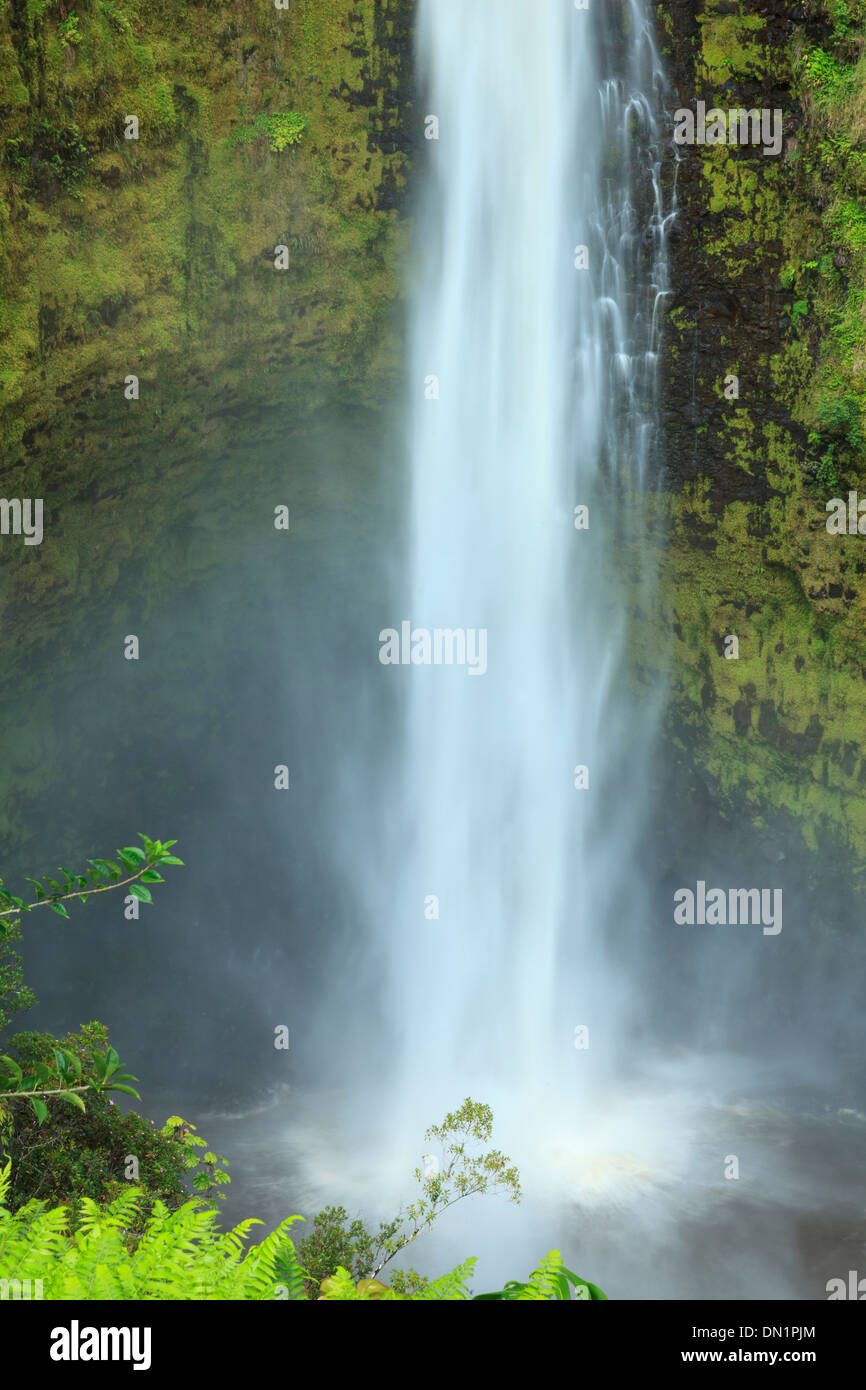USA, Hawaii, The Big Island, Akaka Falls State Park Stock Photo