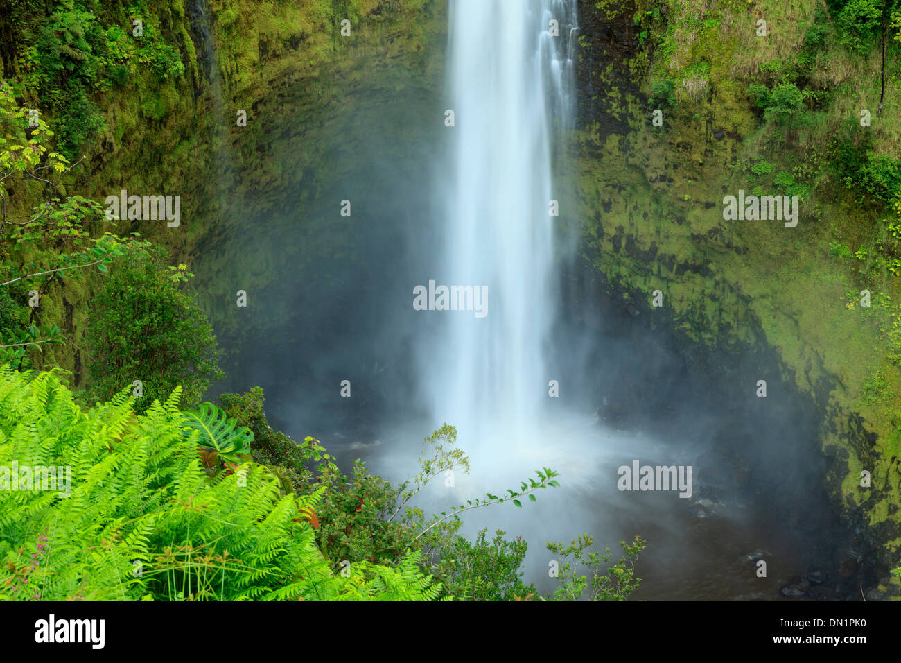 USA, Hawaii, The Big Island, Akaka Falls State Park Stock Photo