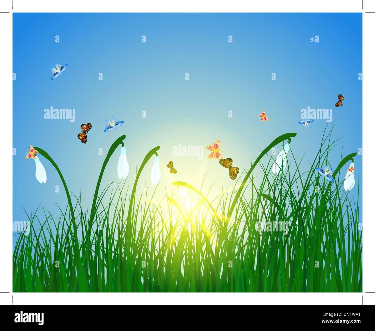 Field grow blur concept Stock Vector Images Alamy