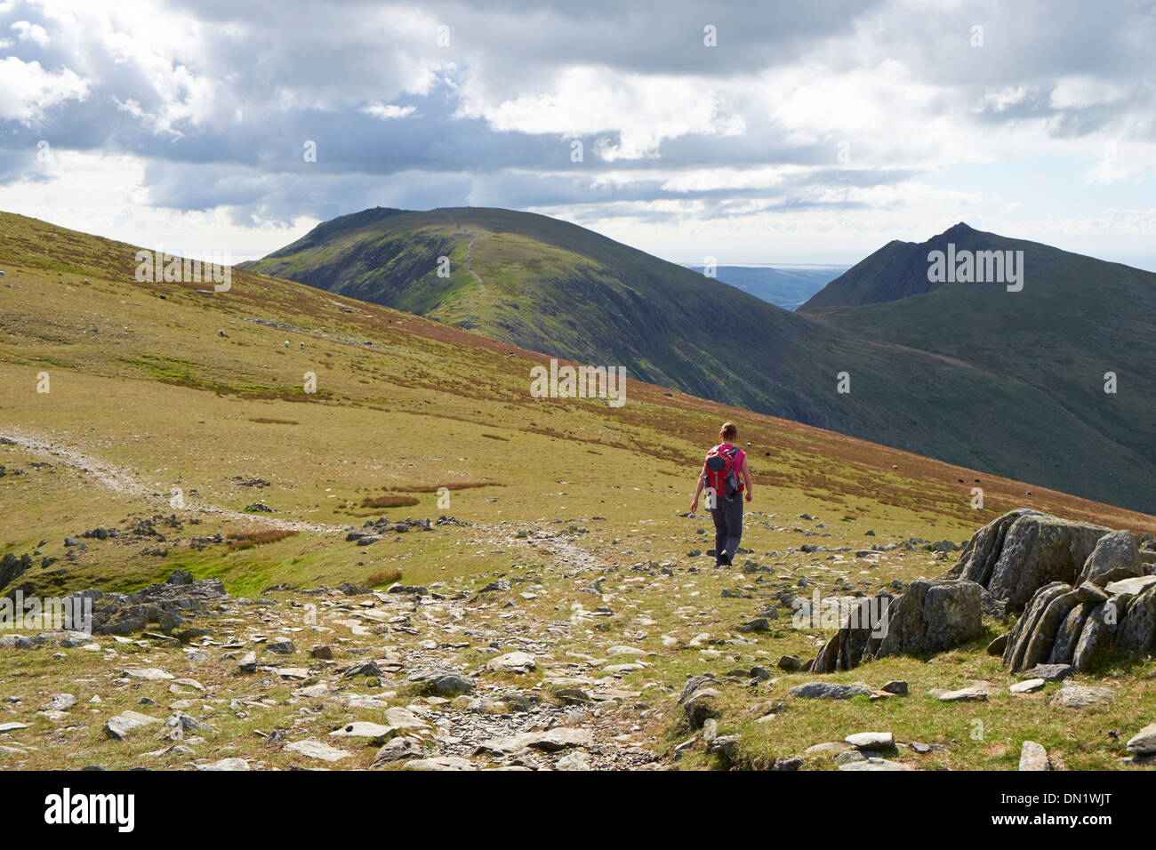 A hiker walking off Great Carrs towards the Old Man of Coniston and Dow Crag in the Lake District. Stock Photo