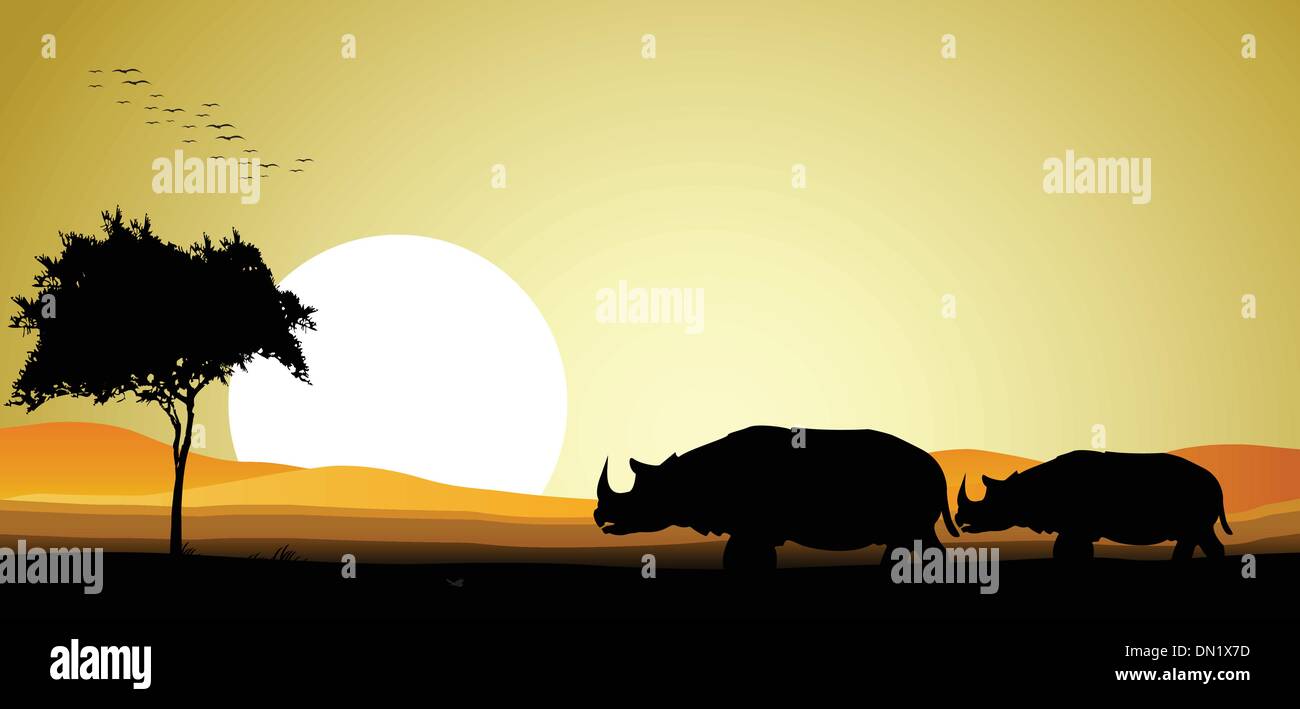 beauty couple rhino silhouette with sunset background Stock Vector