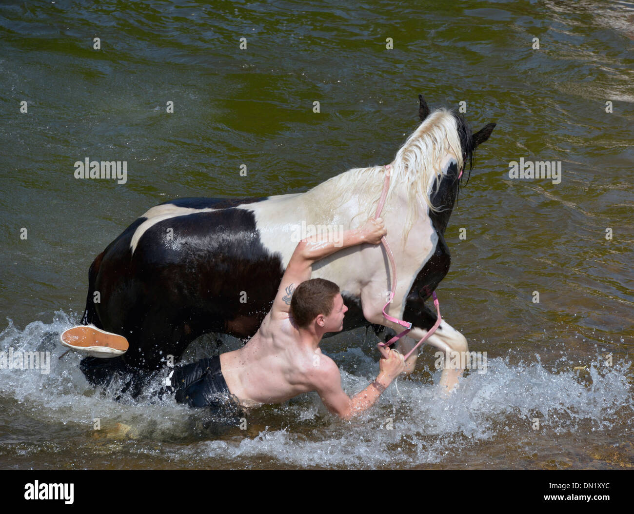 Gypsy traveller boy with horse in River Eden. Appleby Horse Fair, Appleby-in-Westmorland, Cumbria, England, United Kingdom. Stock Photo