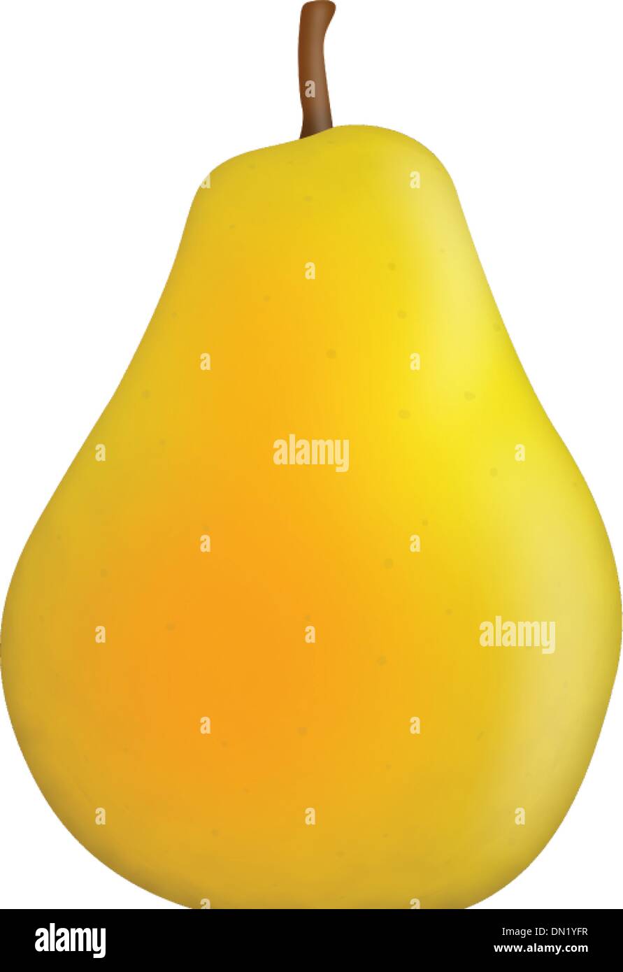 Pear realistic hires stock photography and images Alamy