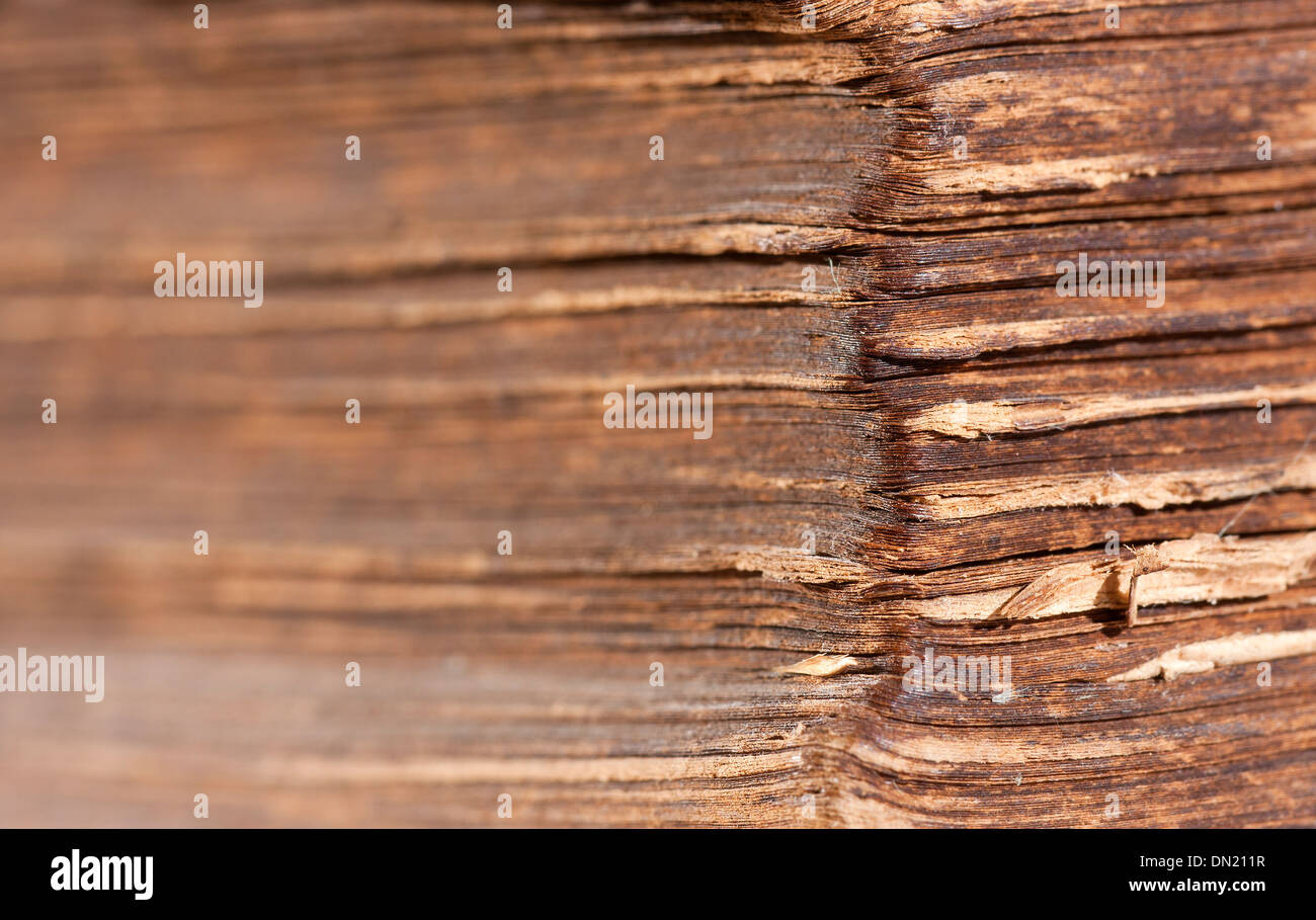 Closeup of an old ancient book with worn sheets Stock Photo
