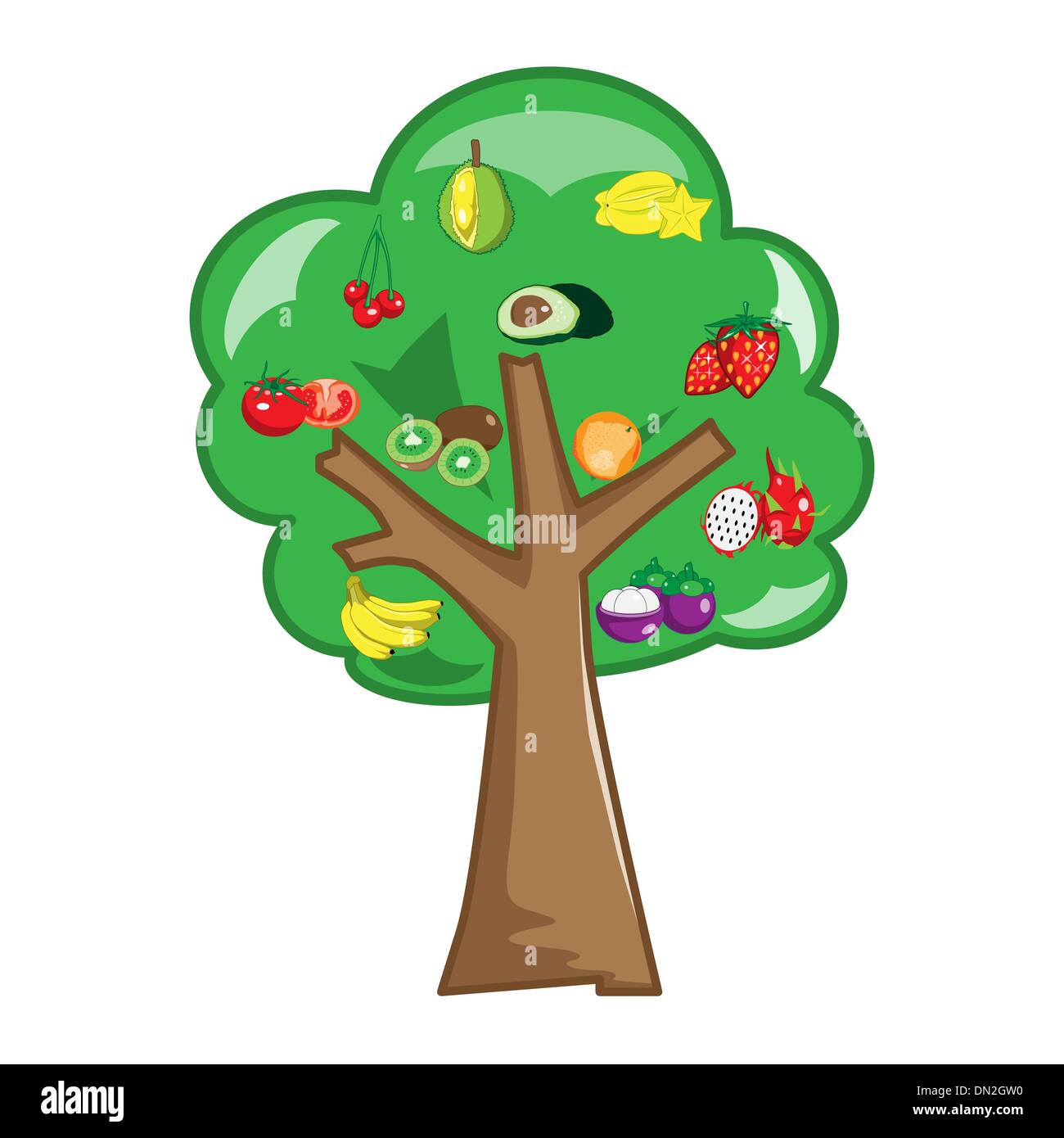 Fruit trees Stock Vector