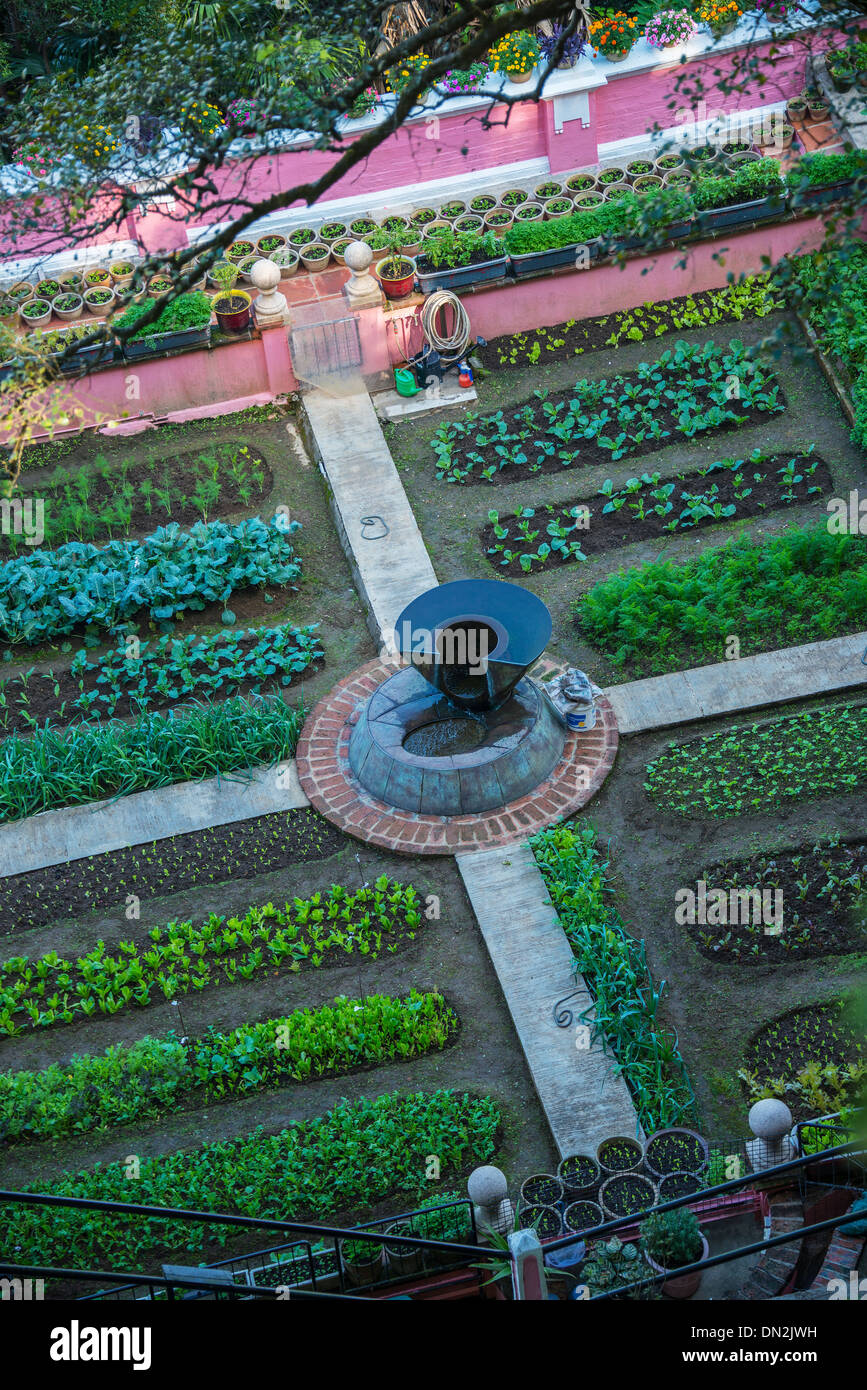 Vegetable and Herb Garden, The Peak, Hong Kong Stock Photo Alamy