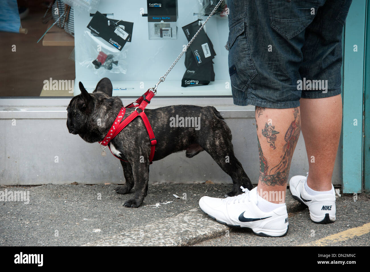 Bulldog man tattoo on leg rough scary tough Stock Photo