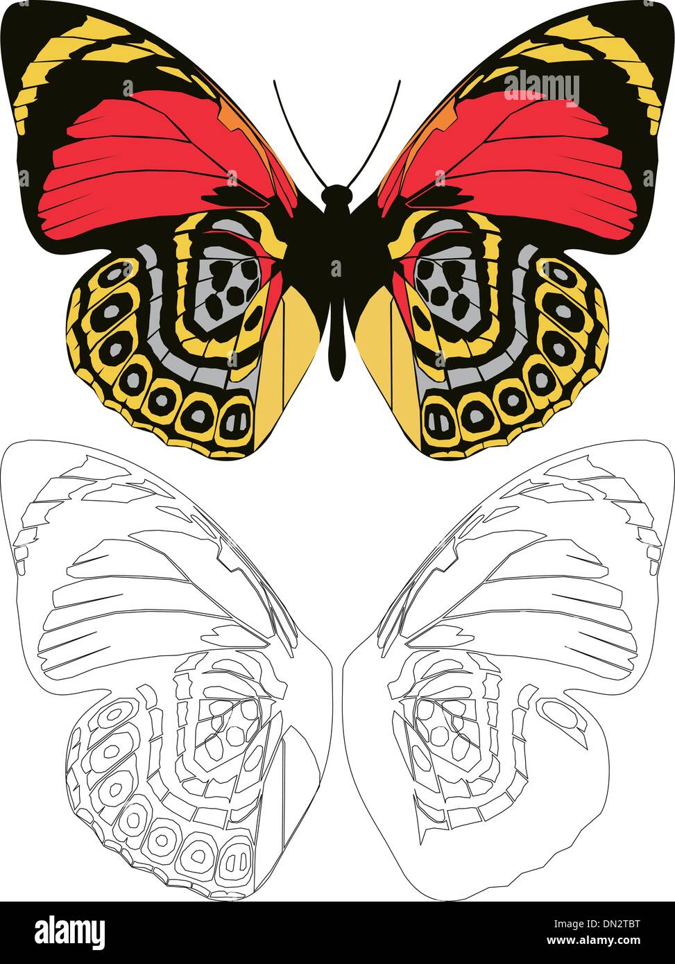Venation vector vectors hi-res stock photography and images - Alamy