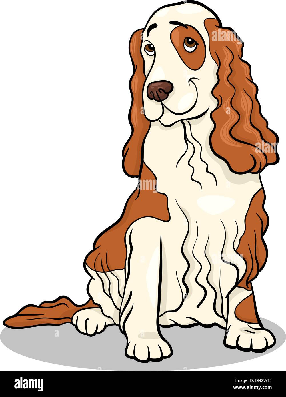 cocker spaniel dog cartoon illustration Stock Vector Image Art