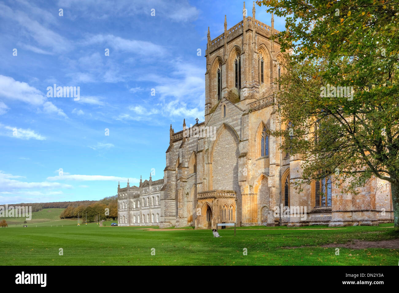 Milton Abbey, Dorset, England, United Kingdom Stock Photo