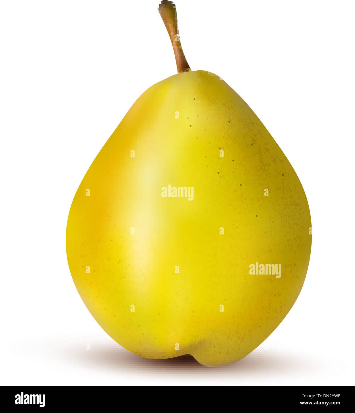 Rpe pear isolated on white. Vector illustration Stock Vector Image ...