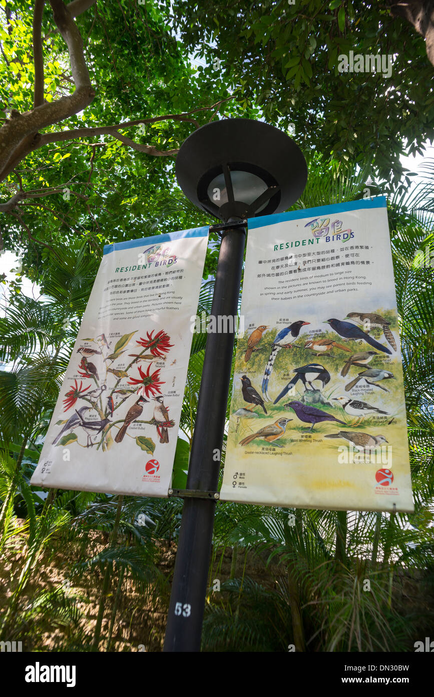 Native Birds Identification Sign, Hong Kong Park, Hong Kong Stock Photo