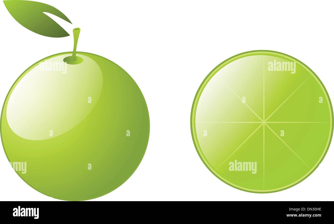 Green lemons with leaves Stock Vector Image & Art - Alamy