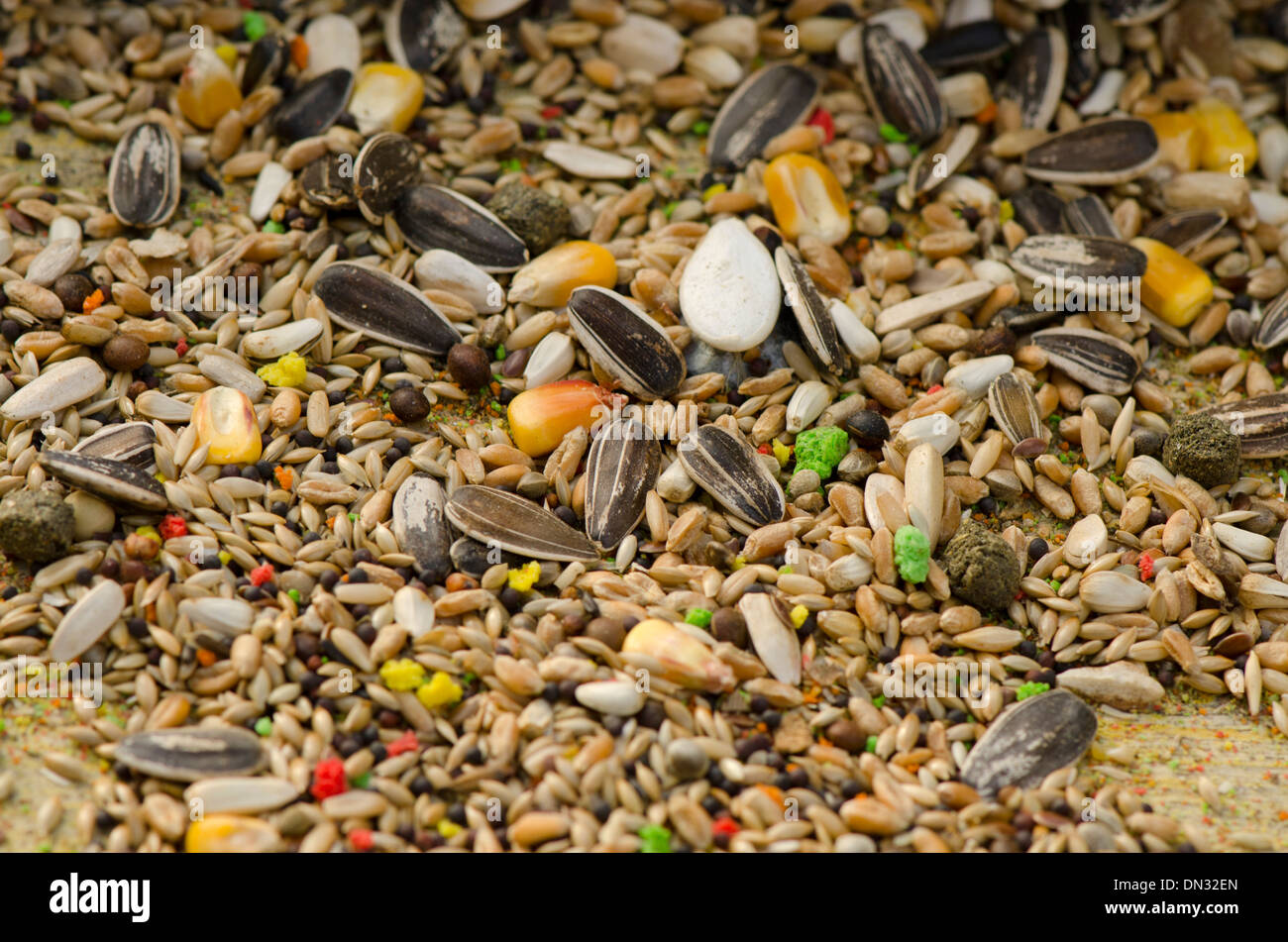 A Mixture Of Commercial Seeds In A Wild Bird Feeder Stock Photo