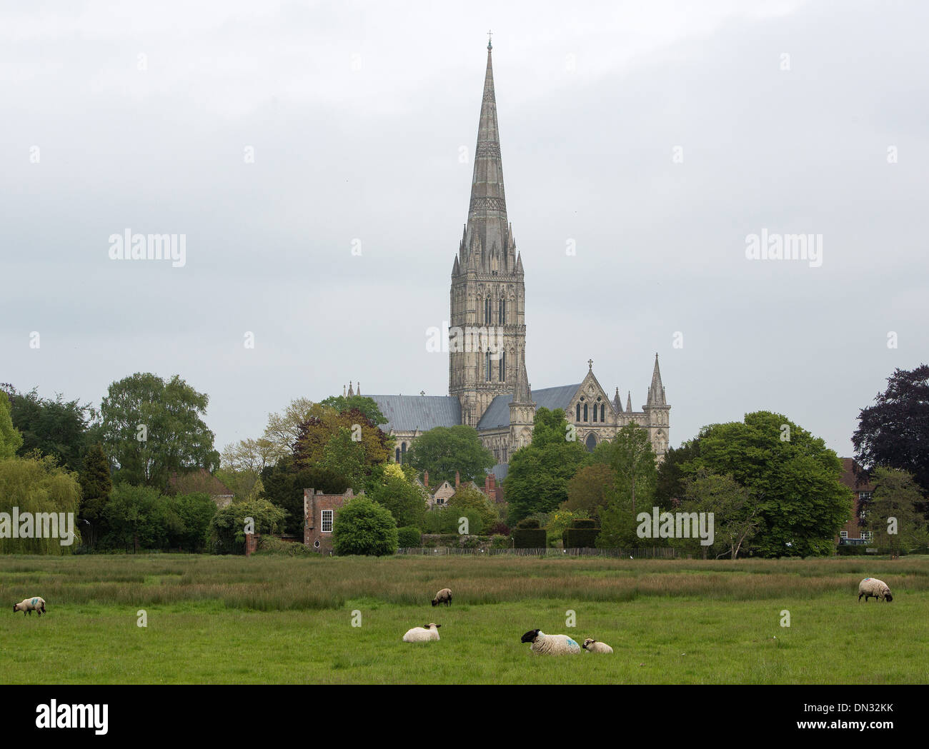 GV of Salisbury Cathedral, Wiltshire. 29 May 2013 Stock Photo