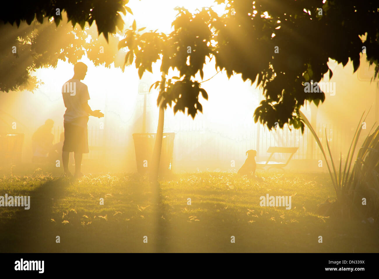 Sun setting in park hi-res stock photography and images - Alamy
