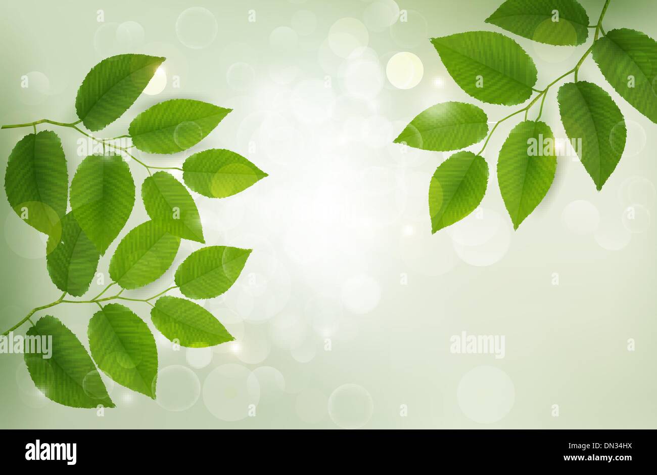 Nature background with green fresh leaves . Vector illustration Stock ...