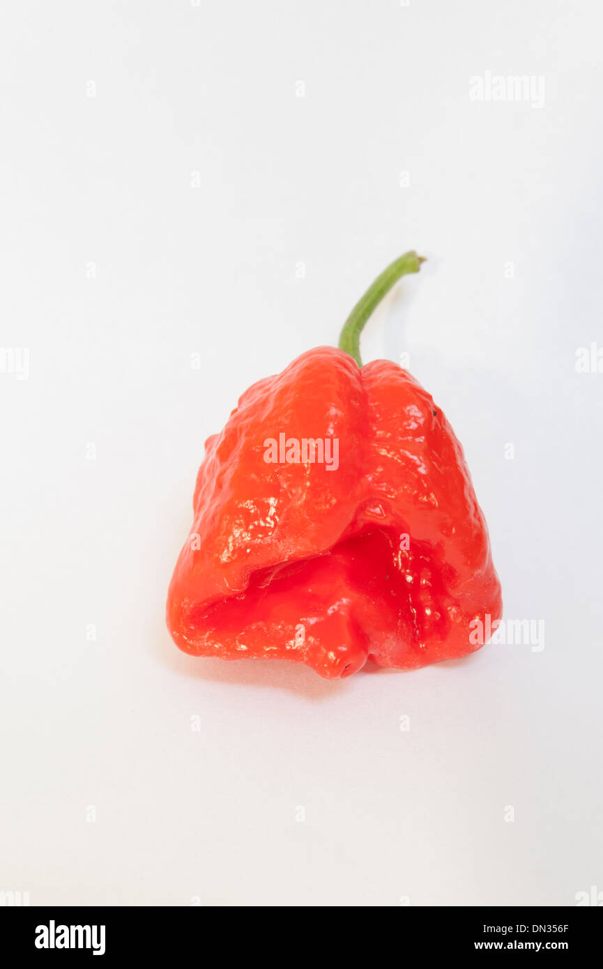 Hottest Foods World High Resolution Stock Photography and Images - Alamy