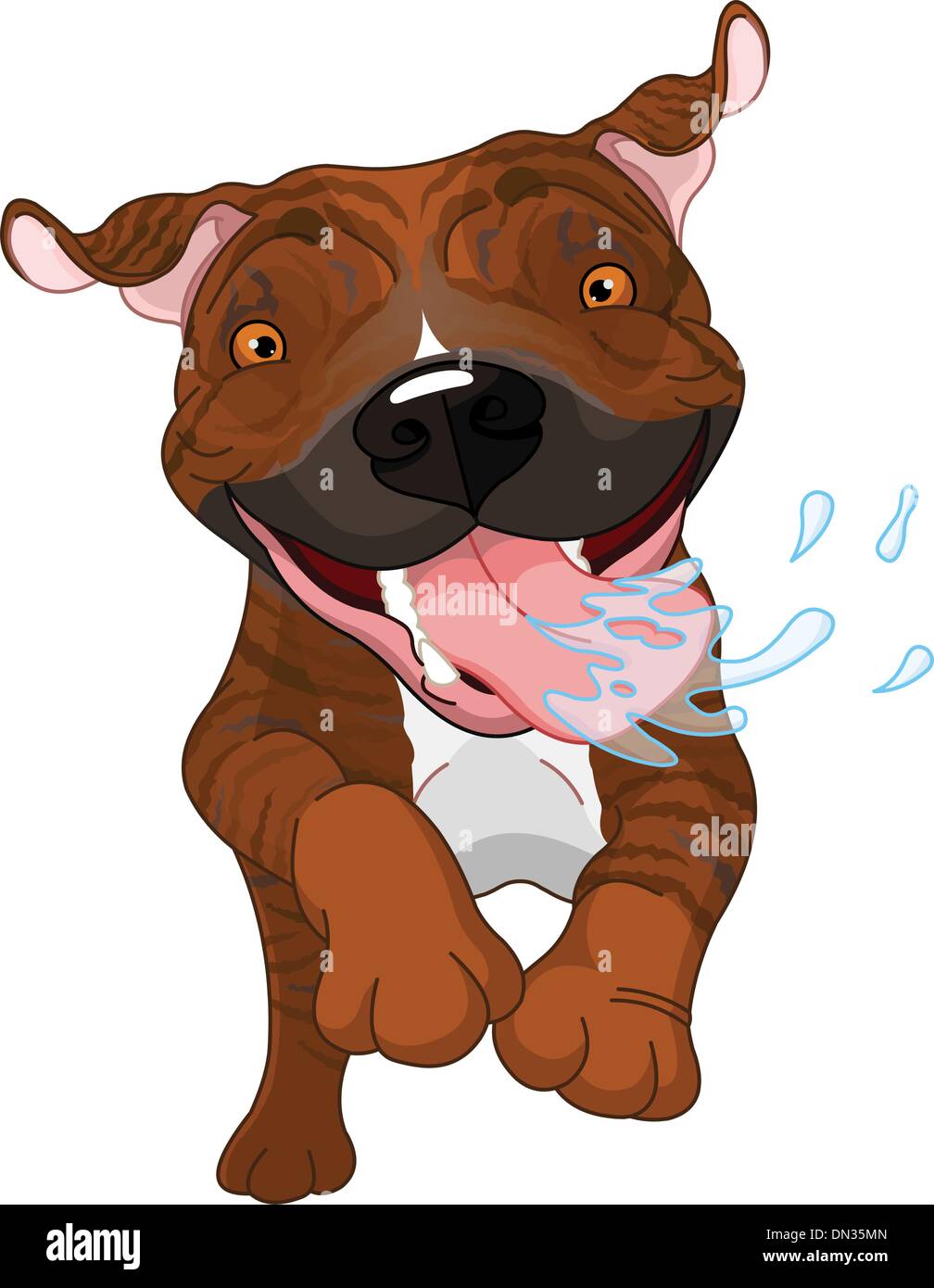 Excited brindle Pit Bull Dog Stock Vector