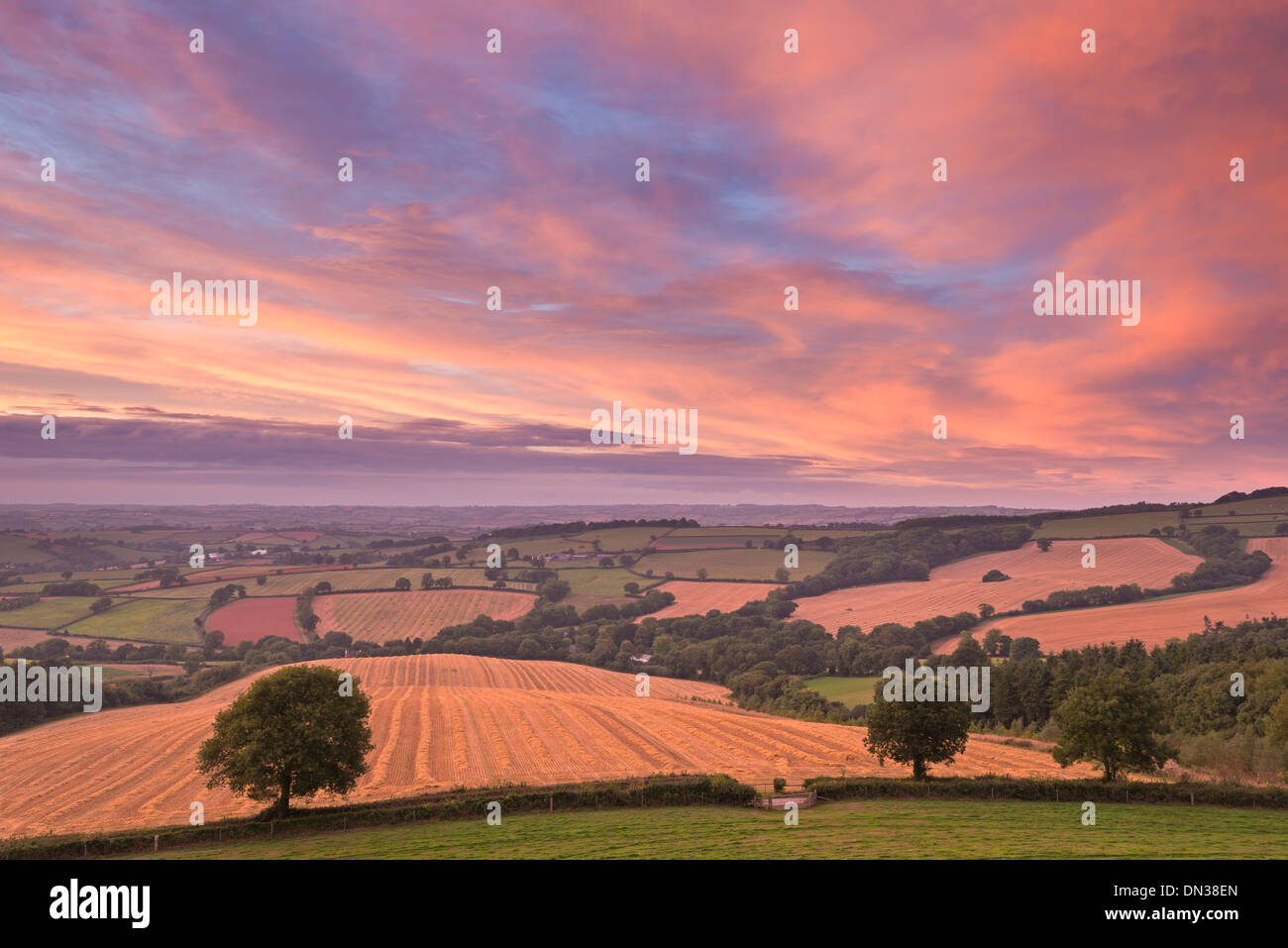 Spectacular sunset above rolling Devon countryside, Stockleigh Pomeroy, Devon, England. Autumn (September) 2013. Stock Photo
