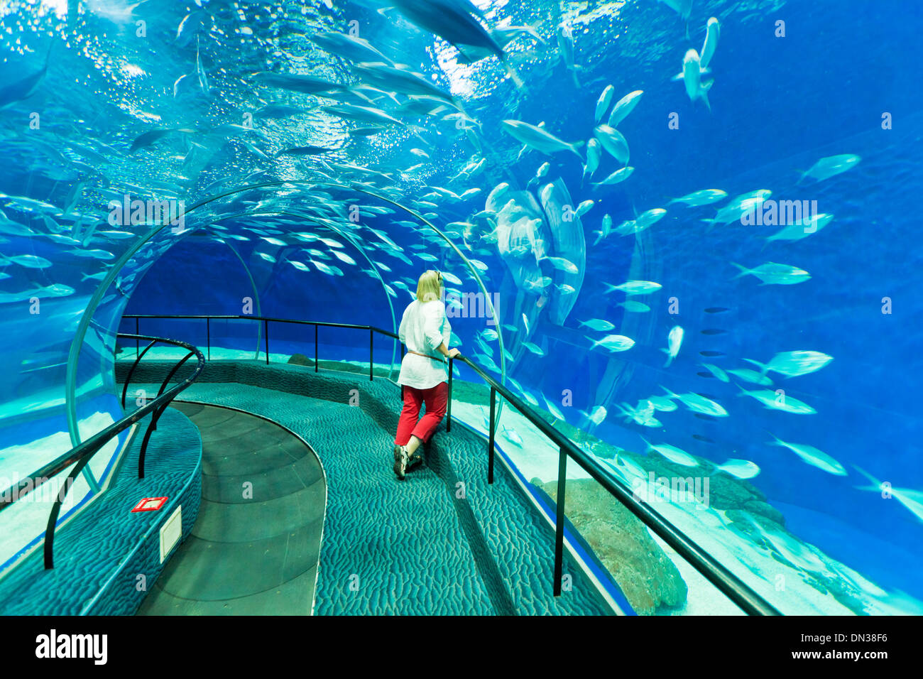Female tourist at Shanghai ocean Aquarium, Peoples Republic of China, PRC, Asia Stock Photo