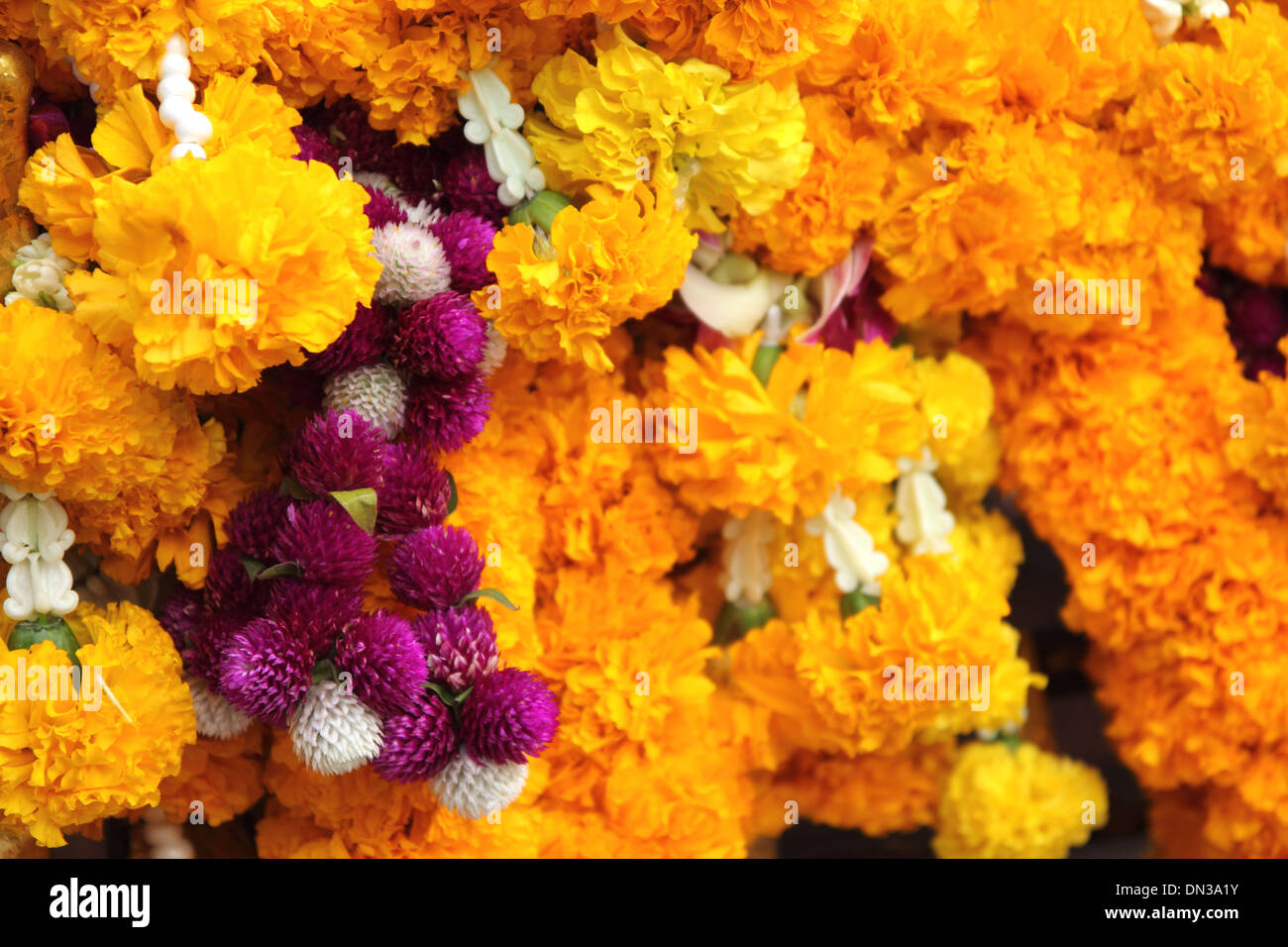 Thai traditional garland flower Stock Photo Alamy