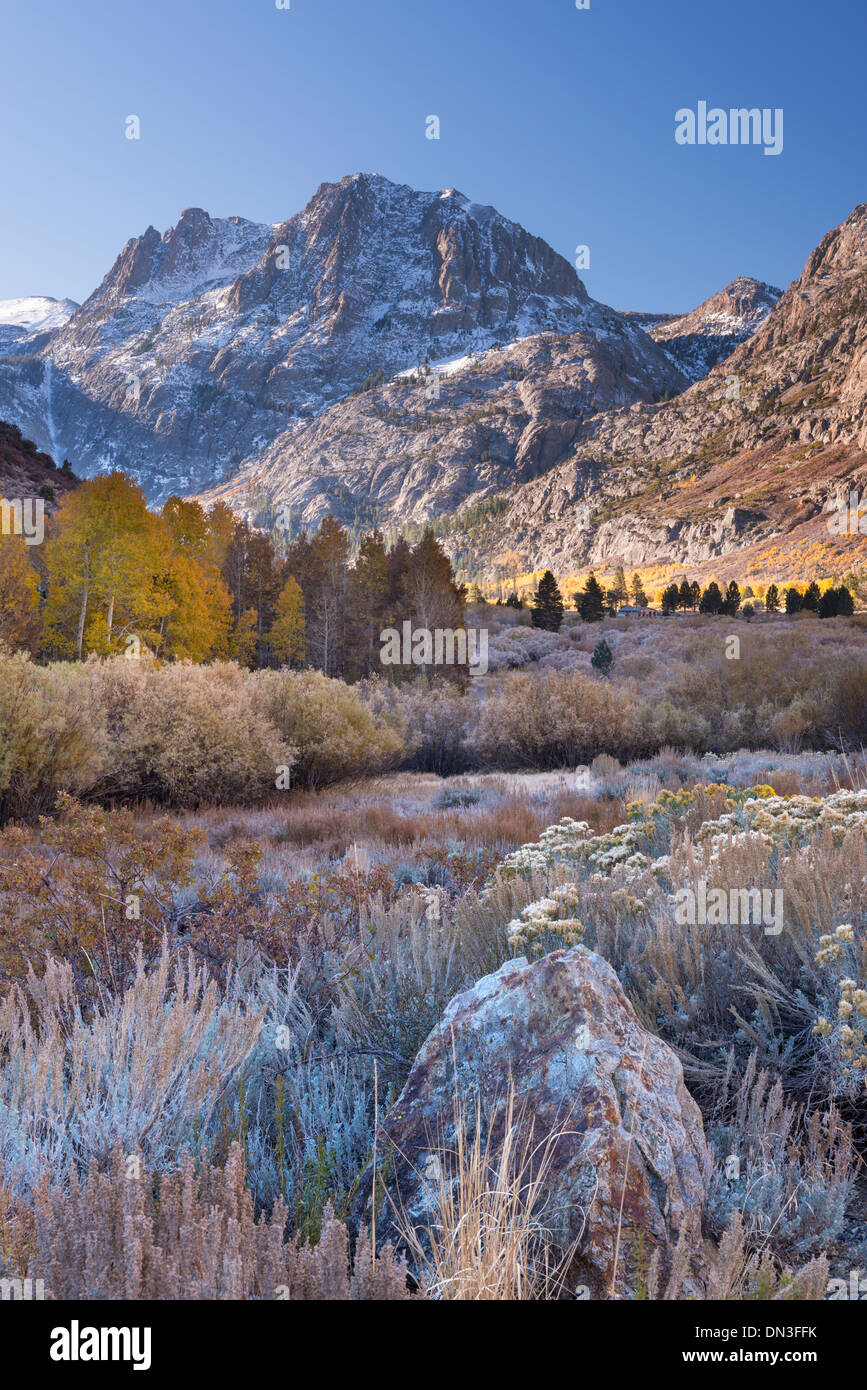 Frosty morning on June Lake Loop in the Eastern Sierra Mountains, California, USA. Autumn (October) 2013. Stock Photo