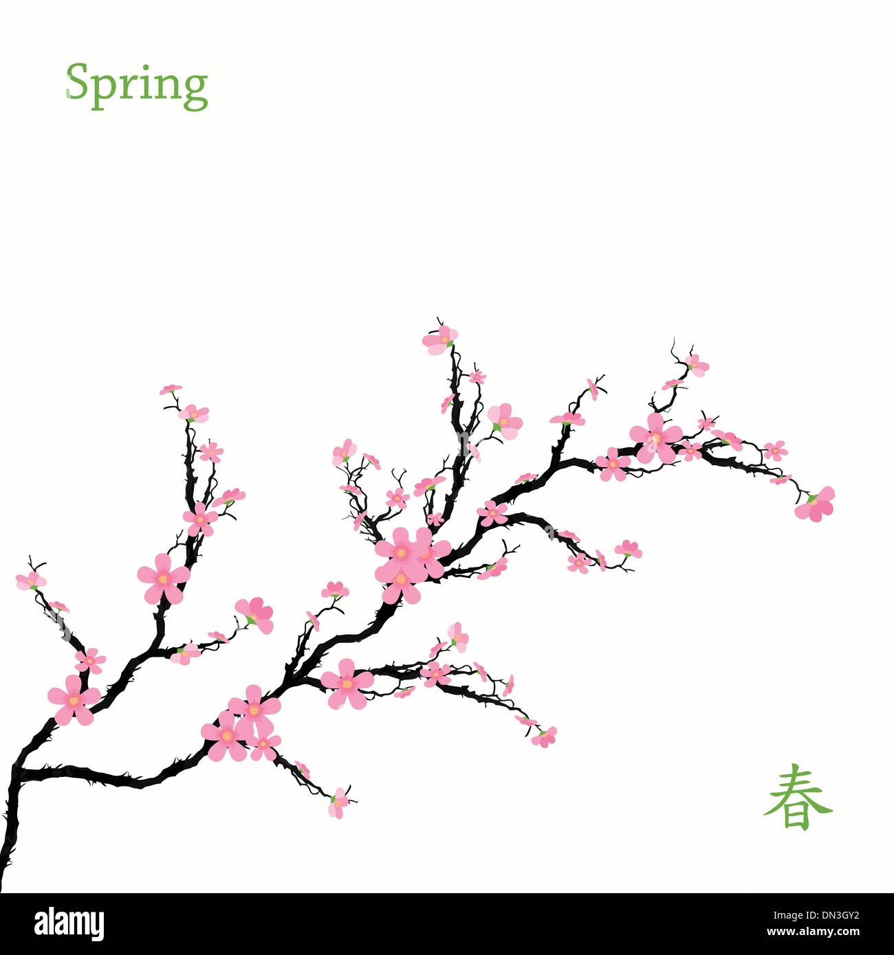 Spring Cherry Blossoms Stock Vector Image & Art - Alamy
