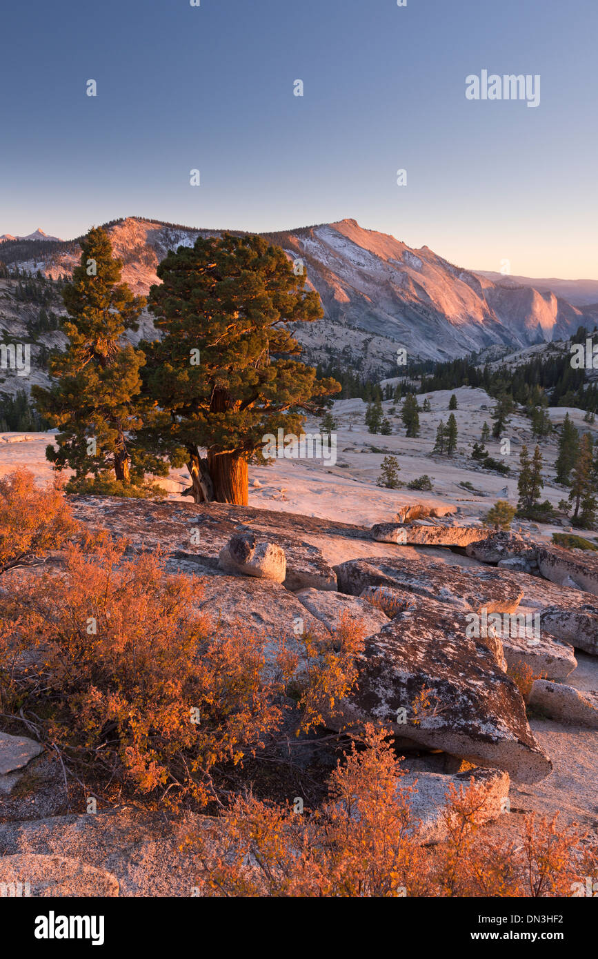 Clouds Rest mountain in the High Sierras, viewed from above Olmstead Point, Yosemite National Park, California, USA. Stock Photo