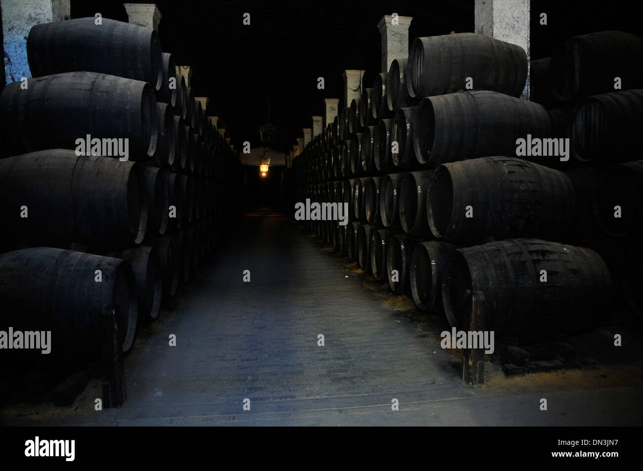 Spanish sherry cellar with hundreds of barrels Stock Photo Alamy