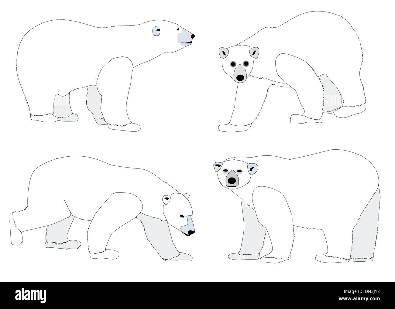 Polar Bears Stock Vector