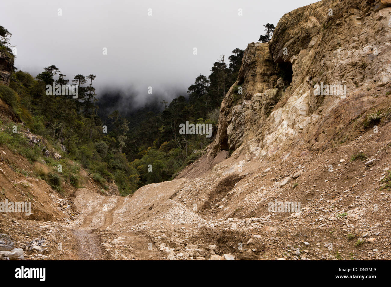 Eastern Bhutan, dangerous roads highway to Shertang La Pass crossing landslide Stock Photo