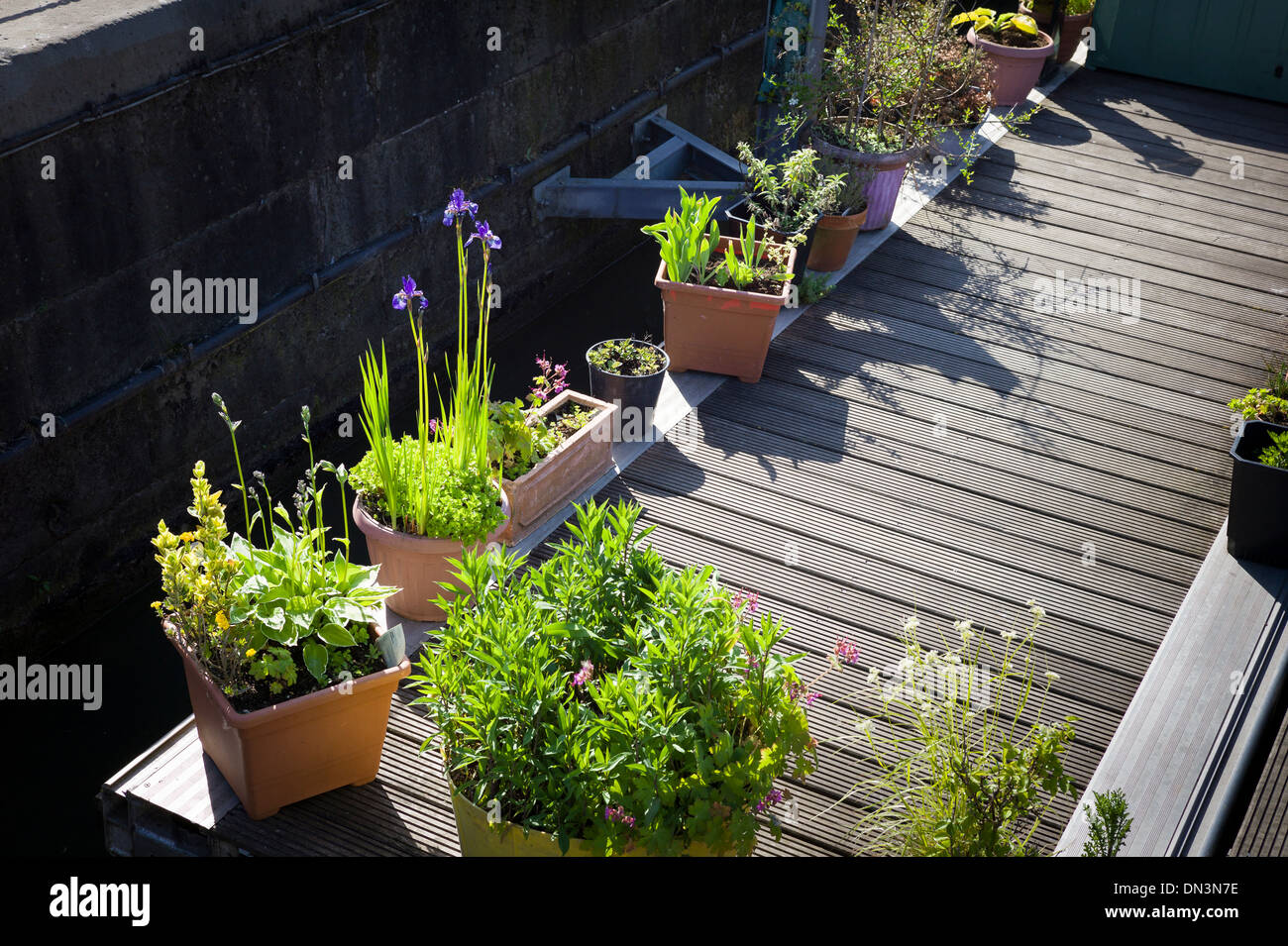 Floral planters on wooden jetty in Gloucester UK Stock Photo