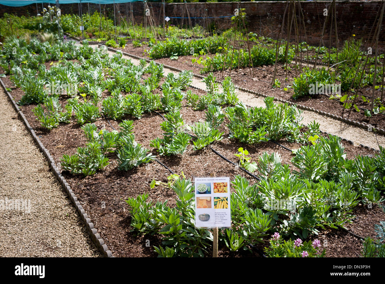 School garden hires stock photography and images Alamy